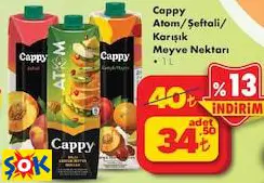 CAPPY ATOM/ŞEFTALİ/KARIŞIK MEYVE NEKTARI 1 L